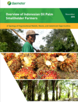 Overview of Indonesian Oil Palm Smallholders Farmers: A Typology of Organizational Models, Needs, and Investment Opportunities