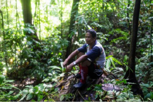 Steps towards sustainable finance for community forest management in the Heart of  Borneo